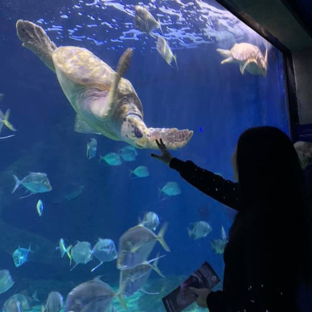 Meet your Posher, Anna